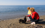 Observan el comportamiento cerebral de las mujeres al ver a sus hijos y a sus perros