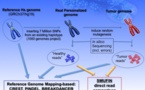 Una herramienta informática detecta rápidamente los cambios genéticos del cáncer