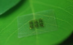 La madera puede ser una solución para construir chips biodegradables