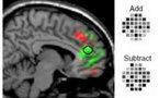 Una nueva tecnología permite conocer los pensamientos humanos