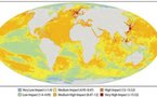 Casi la mitad de los océanos terrestres padece el impacto de la actividad humana