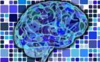 Reducir el tamaño del cerebro de personas con ansiedad a través de Internet