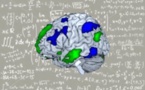 Una red cerebral separada de la del lenguaje se ocupa de las matemáticas