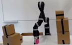 Los robots ya pueden 'improvisar' sus movimientos 